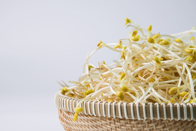 Discover the Benefits of Bean Sprouts 사진 4