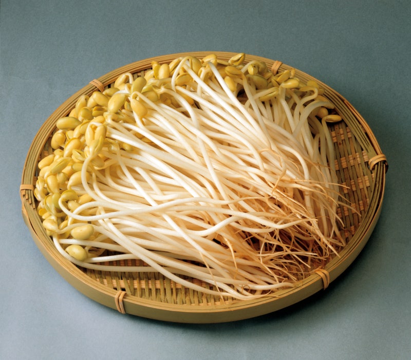 Discover the Benefits of Bean Sprouts