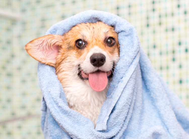 Understanding Your Beauty Habits Correctly