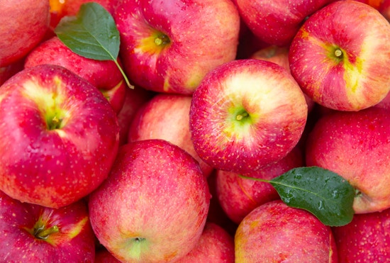 Discover Low-Sugar Fruits! 사진 5