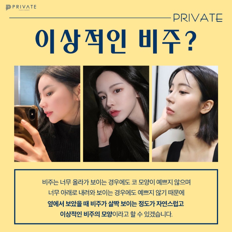 프라이빗성형외과 코성형 비주수술 알아보기 사진 4