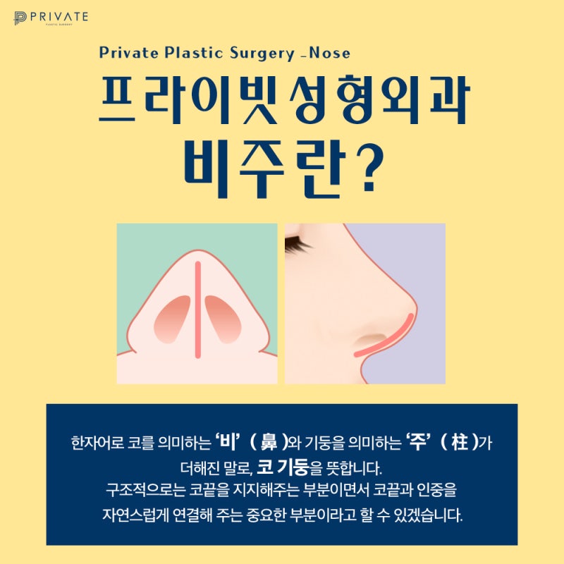 프라이빗성형외과 코성형 비주수술 알아보기