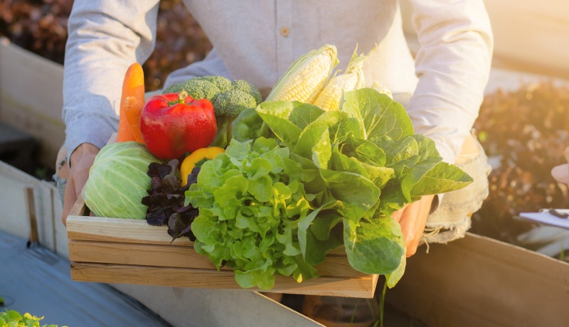 How to Eat Carbohydrates Healthily!