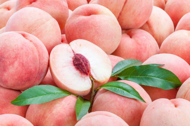 Makanan apa yang membantu di cuaca panas dan lembap? 사진 6