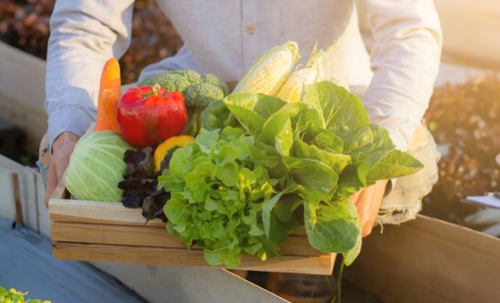 Understanding Frozen Food Storage Periods 사진 3