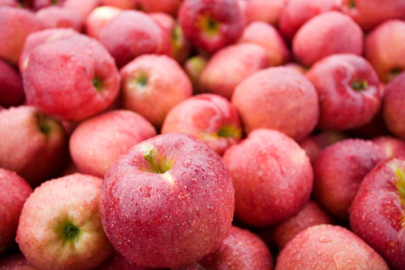 Simple Breakfast Foods That Don't Go Well Together 사진 5