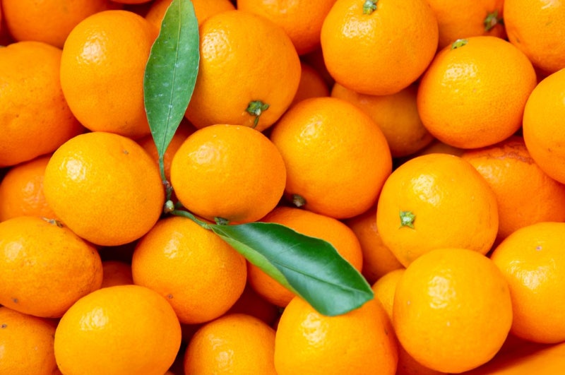 Discover How to Use Food Peels 사진 2