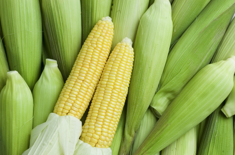 5 Prebiotics to Boost Immunity and Aid Weight Loss 사진 2