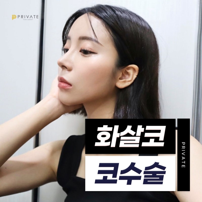 Arrowhead Nose Surgery at Sinsa Private Plastic Surgery Clinic 사진 7