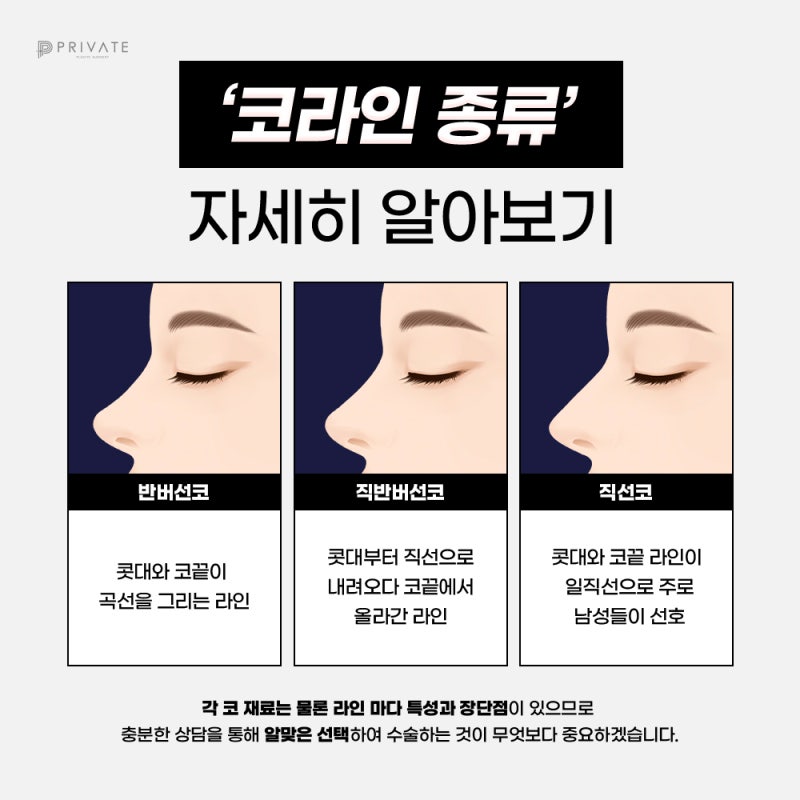 Arrowhead Nose Surgery at Sinsa Private Plastic Surgery Clinic 사진 4