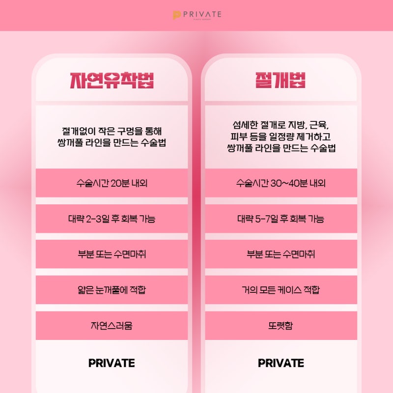 Sinsa Private Plastic Surgery: The Best Place for Double Eyelid Surgery 사진 4