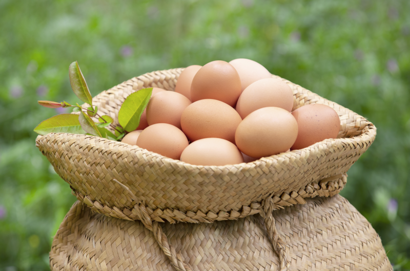 Осенний межсезон: какие продукты полезны для глаз? 사진 2