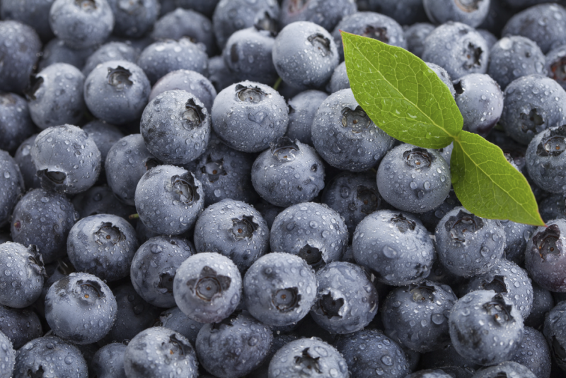Let's Explore Drinks That Lower Cholesterol 사진 6