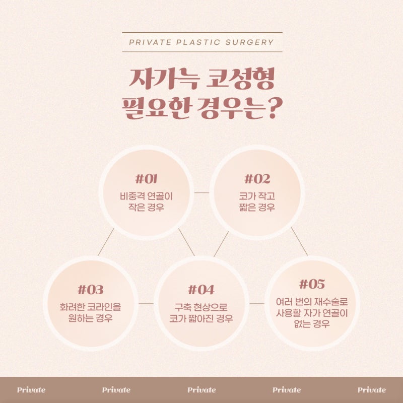 Private Plastic Surgery Clinic is the Best Place for Autologous Rib Cartilage Rhinoplasty 사진 4