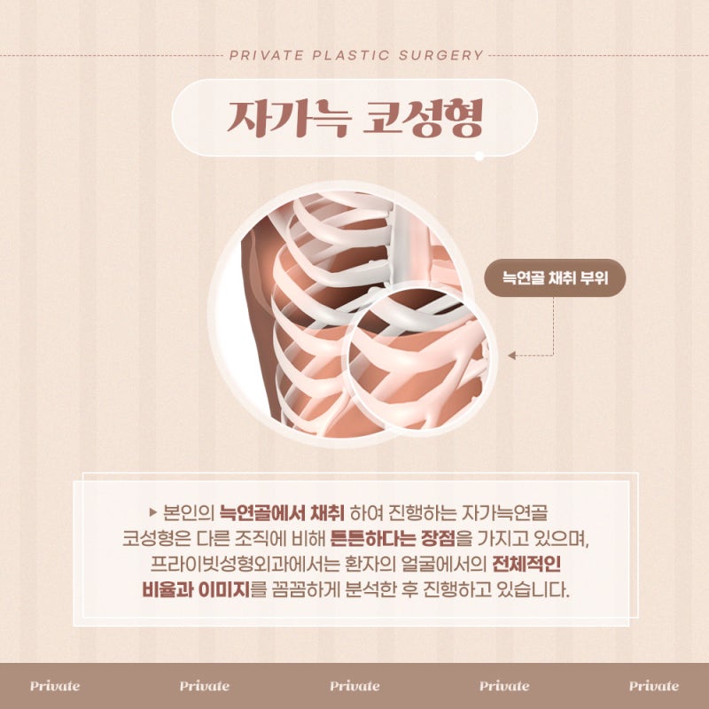 Private Plastic Surgery Clinic is the Best Place for Autologous Rib Cartilage Rhinoplasty
