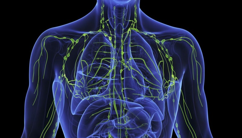 Discover Ways to Boost Your Immunity