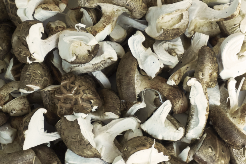 5 Healthy Dried Foods That Boost Immunity 사진 3