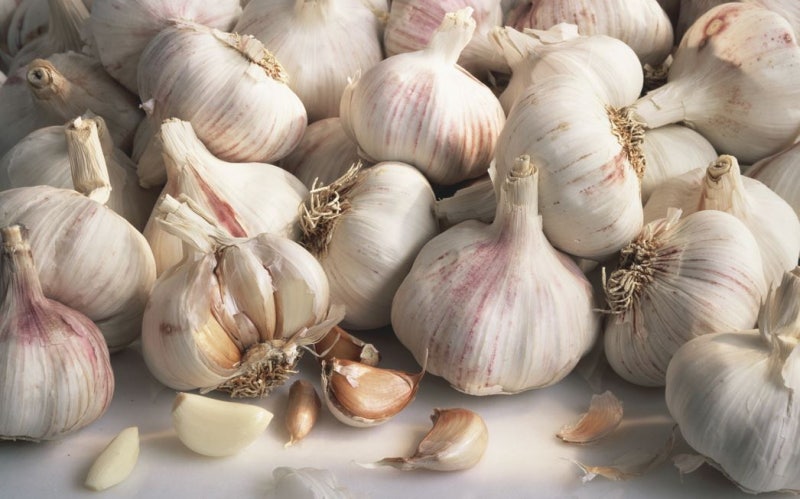 How to store garlic for a long time?