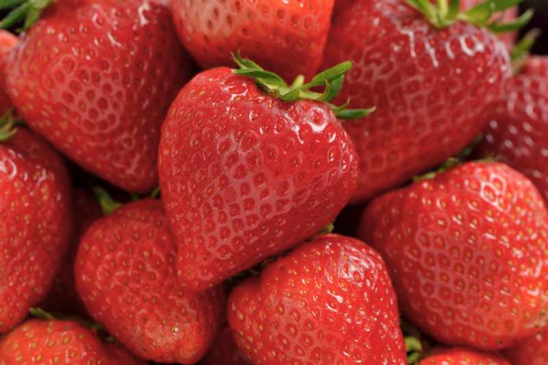 Strawberry Season: Let's Learn About Strawberries 사진 4