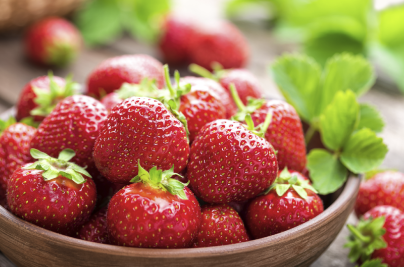 Strawberry Season: Let's Learn About Strawberries 사진 2