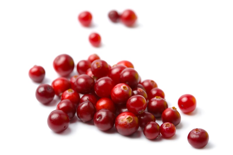 5 Foods for Bone Health (Besides Milk) 사진 3