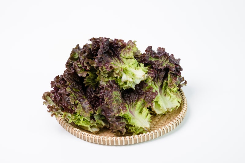 6 Foods That Will Make You Sleep Soundly 사진 3