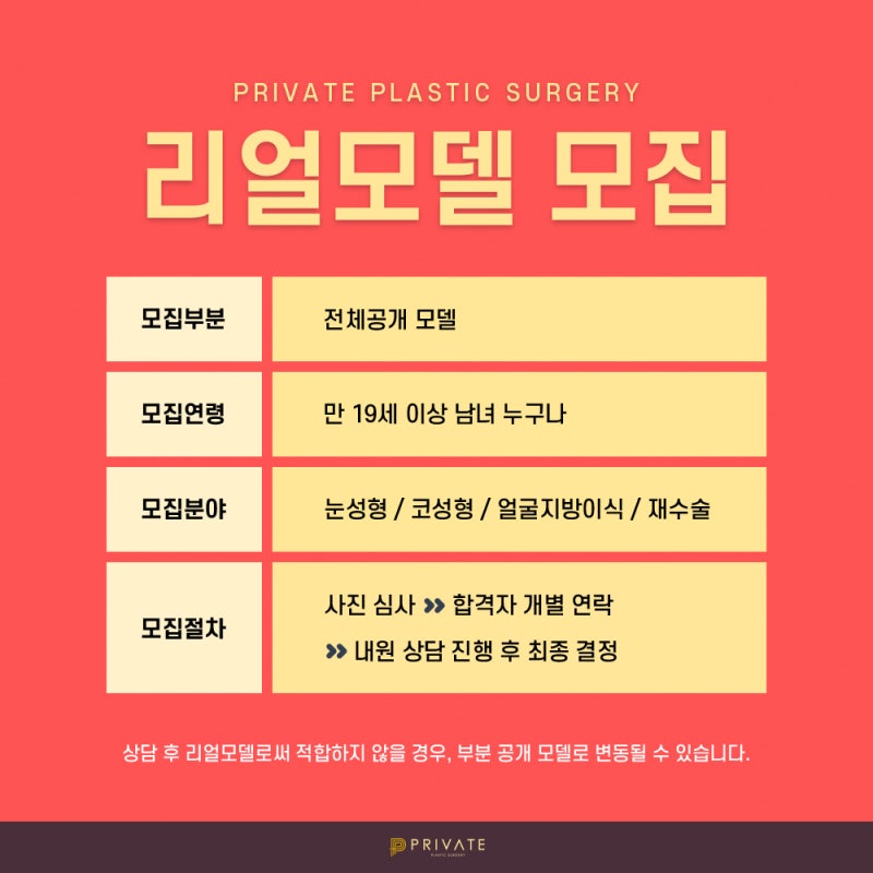 Private Plastic Surgery Model Recruitment Guide 사진 5