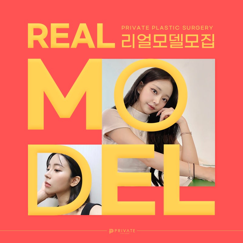 Private Plastic Surgery Model Recruitment Guide 사진 2
