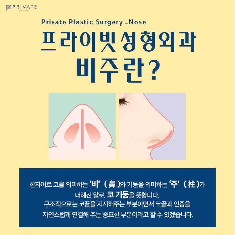 Columella Rhinoplasty at Sinsa Private Plastic Surgery