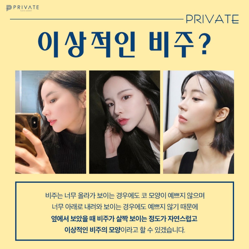 Columella Rhinoplasty at Sinsa Private Plastic Surgery 사진 4