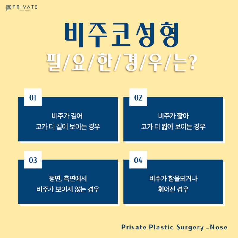 Columella Rhinoplasty at Sinsa Private Plastic Surgery 사진 5