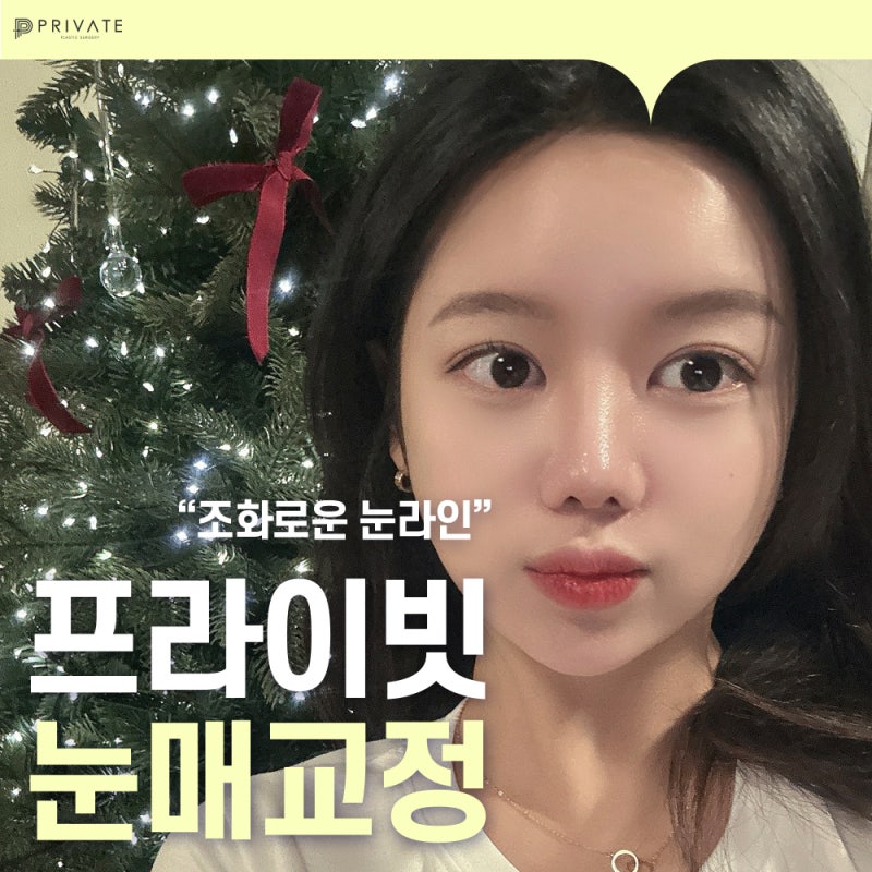 Before and After Ptosis Correction Surgery at Private Plastic Surgery Clinic 사진 2