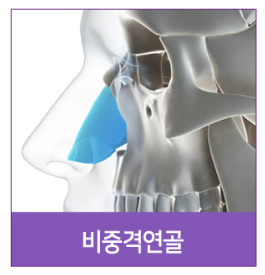 #14 Rhinoplasty, Tip Plasty Materials: Understanding Nasal Structure First 사진 7