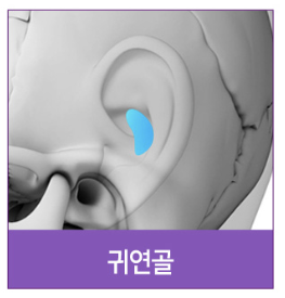 #14 Rhinoplasty, Tip Plasty Materials: Understanding Nasal Structure First 사진 8