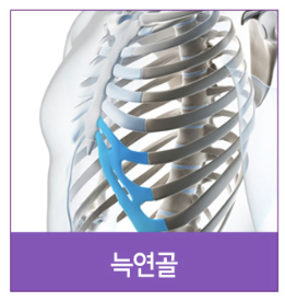 #14 Rhinoplasty, Tip Plasty Materials: Understanding Nasal Structure First 사진 6