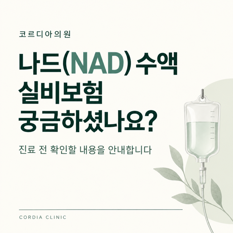 선릉역 나드수액, 실비보험 궁금하셨다면 읽어보세요