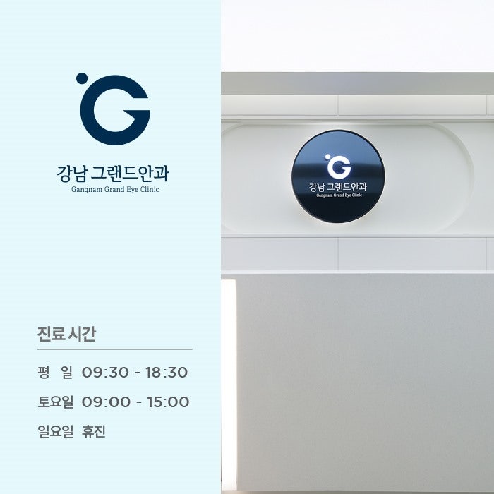 눈에 날파리증 비문증 안과 검사 필요한걸까? 사진 6