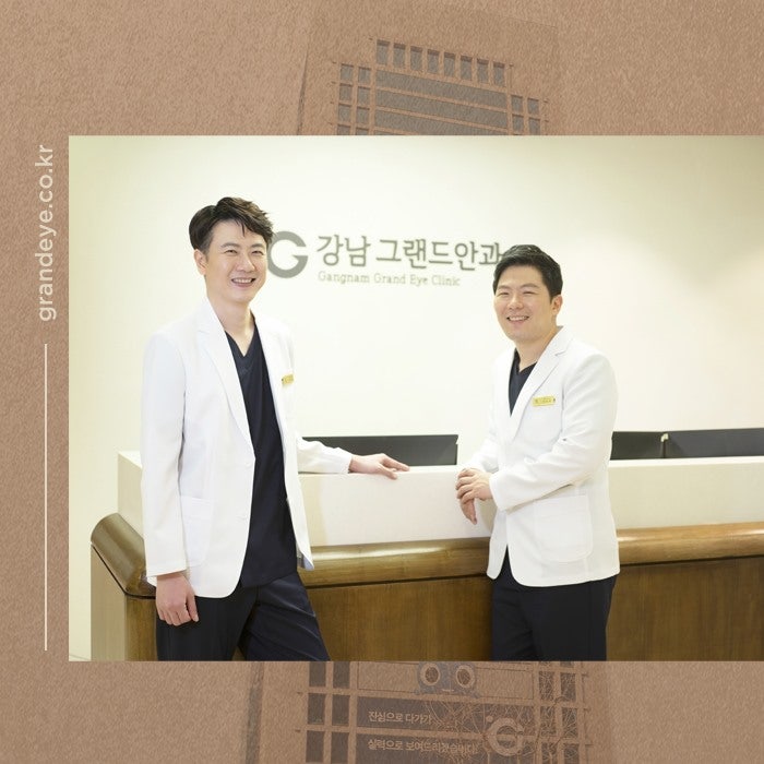 눈에 날파리증 비문증 안과 검사 필요한걸까? 사진 5