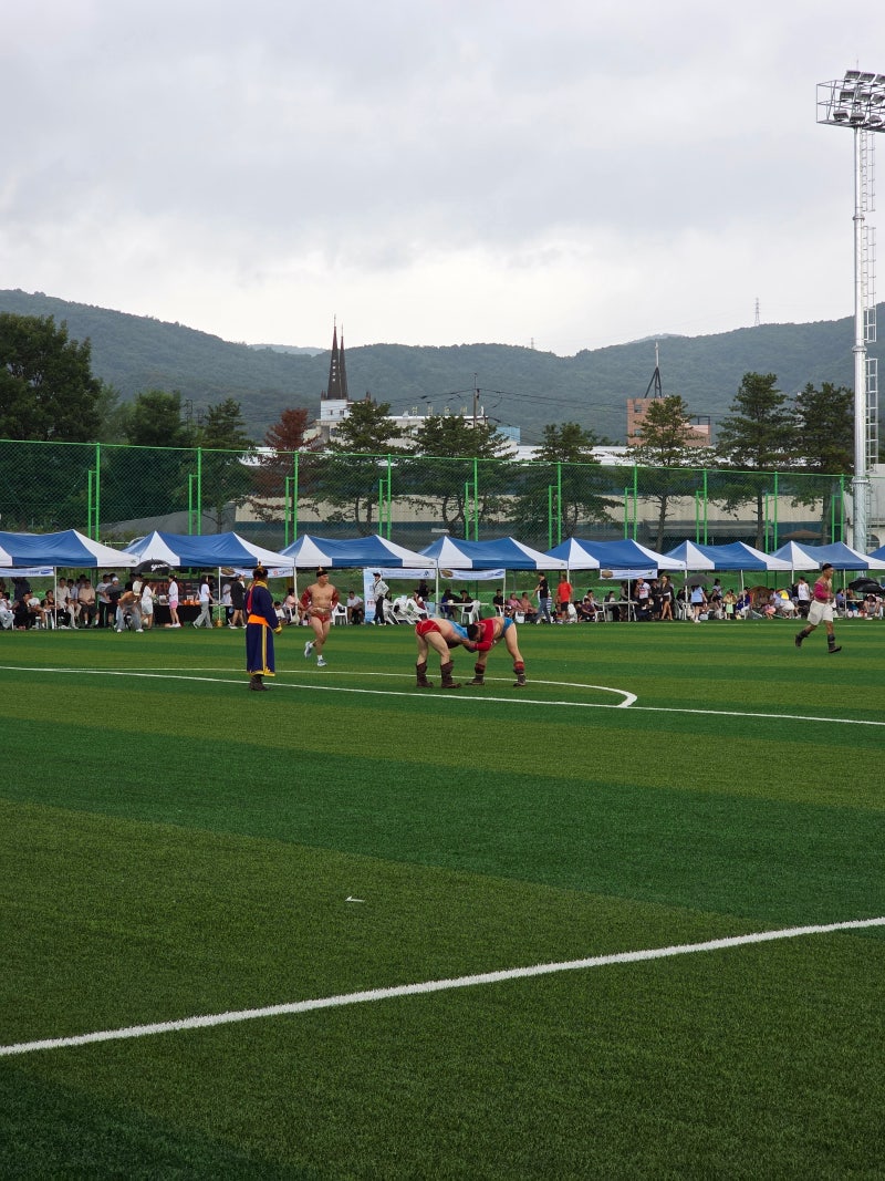 재한몽골인 '나담 축제 2026' 참여기! 시력교정·백내장 건강 상담과 뜻깊은 감사장 수여까지 사진 2