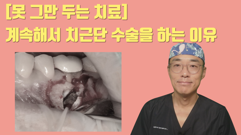 [보람으로 하는 치근단 수술] 다시는 안한다고 하면서 치근단 수술을 계속하는 이유 #치근단수술 #치근절제술 #최용훈원장