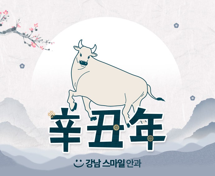 강남스마일안과 2021년 신축년 1월 1일