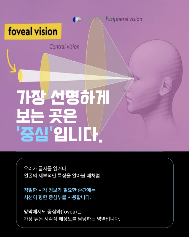아이맥스, 우리 눈으로 다 볼 수 있을까? 시야각의 비밀 사진 3