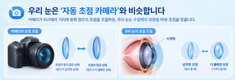 강남백내장수술 전 알아두면 좋은, 눈의 자동 초점 원리 사진 2