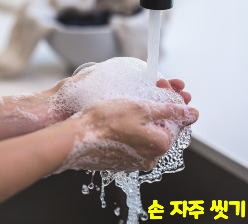 감기 예방: 겨울철 건강 습관과 면역력을 높여주는 음식