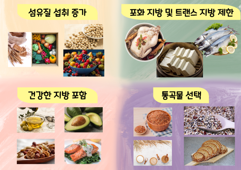 고지혈증 관리를 위한 5가지 주요 건강 생활습관 변화
