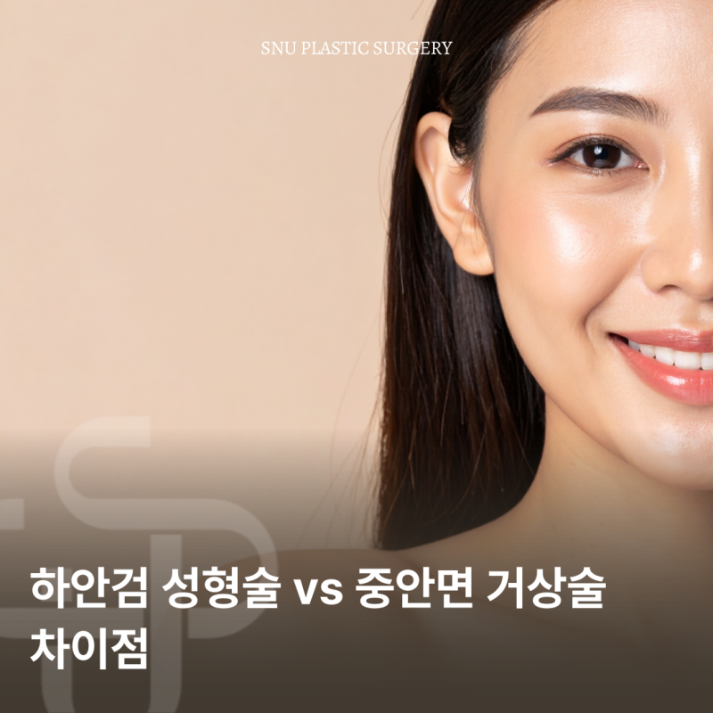 하안검 성형술 vs 중안면 거상술 차이점