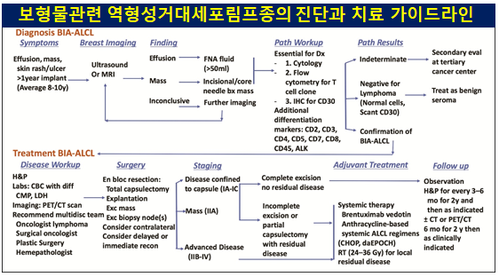 〔신유외과〕 앨러간(엘러간) 텍스쳐보형물 관련 희귀암(BIA-ALCL, 역형성 거대세포 림프종)의 증상과 진단 및 치료