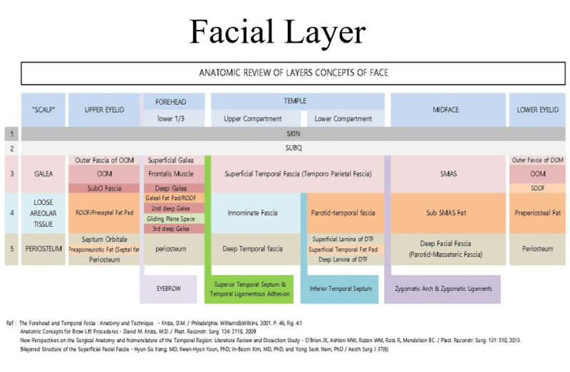 ดึงหน้าไม่ใช่แค่การดึงผิวหนัง — หลักการสำคัญของ Deep Plane Facelift | Taylor Plastic Surgery