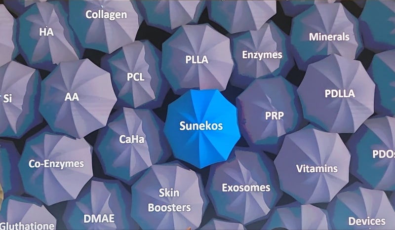 안티에이징 뉴 스킨부스터 SUNEKOS Global Summit in Dubai 참석