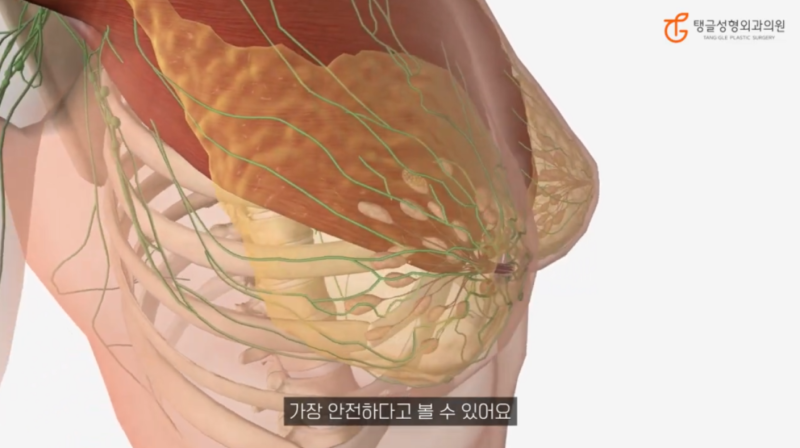 Ptosis Breast Surgery Cost: Childbirth, Breastfeeding, and Weight Changes